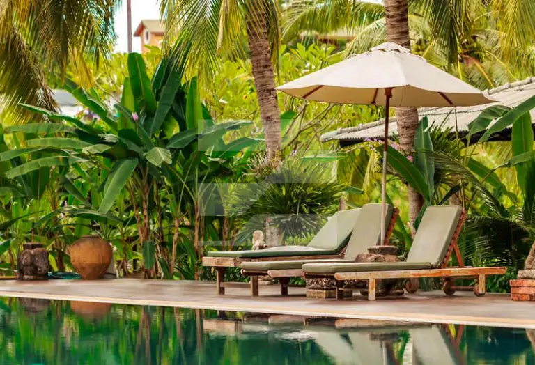 حیاط سازی استوایی