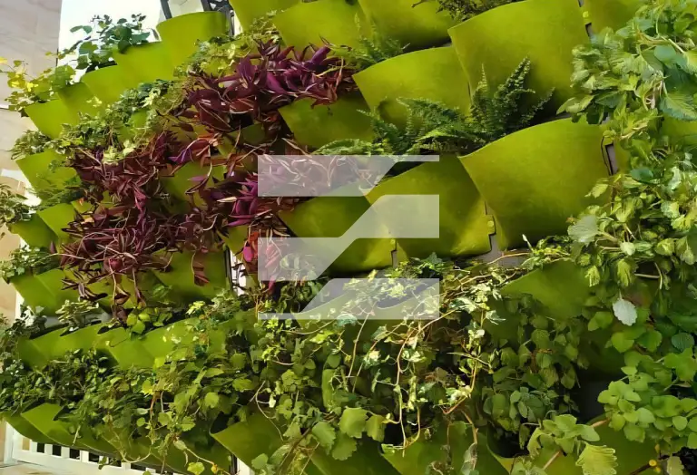 دیوار سبز نمدی دیوار سبز نمدی